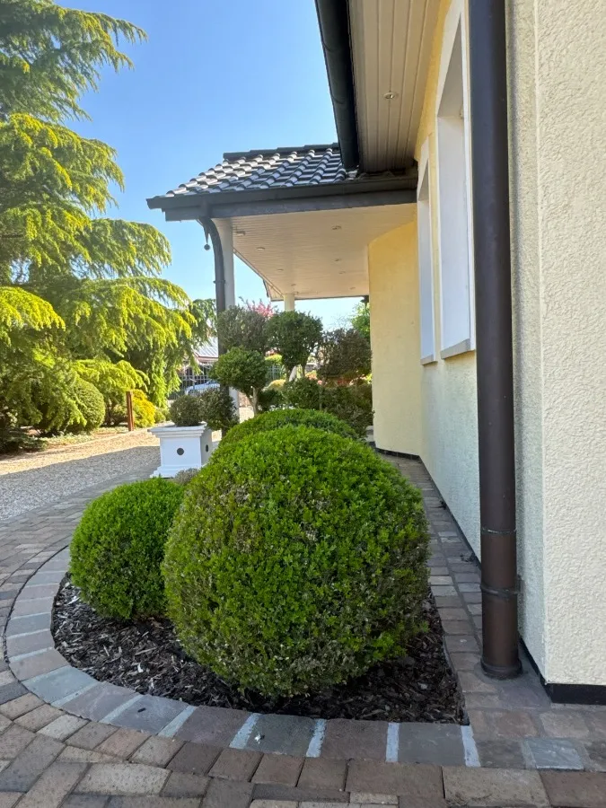 Haus in 27211 Bassum: traumhafte Villa in Bassum zu verkaufen! – Bild... (Bild 3)